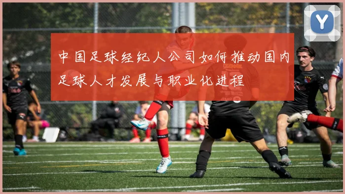 中国足球经纪人公司如何推动国内足球人才发展与职业化进程