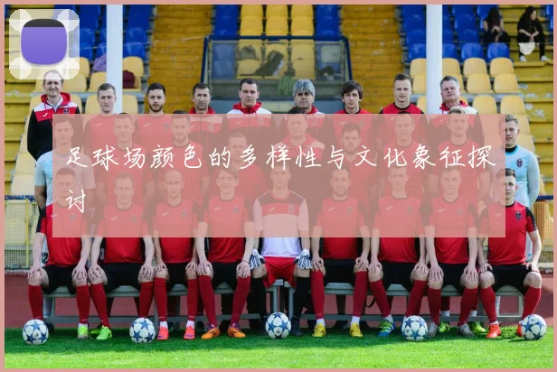 足球场颜色的多样性与文化象征探讨