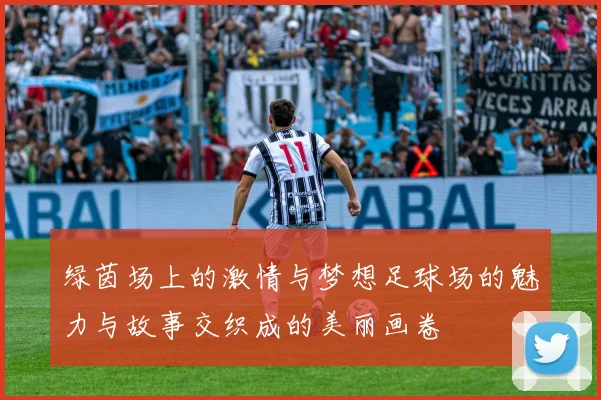 绿茵场上的激情与梦想足球场的魅力与故事交织成的美丽画卷