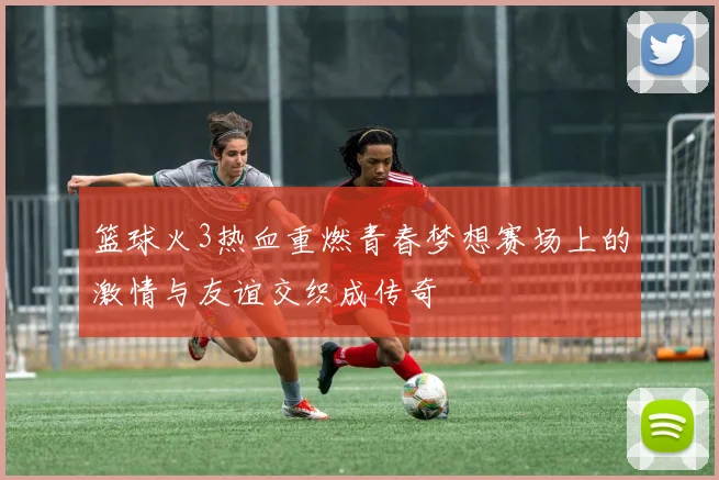 篮球火3热血重燃青春梦想赛场上的激情与友谊交织成传奇