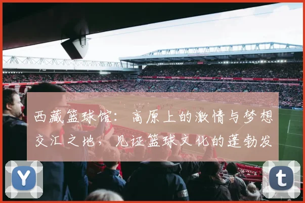 西藏篮球馆：高原上的激情与梦想交汇之地，见证篮球文化的蓬勃发展